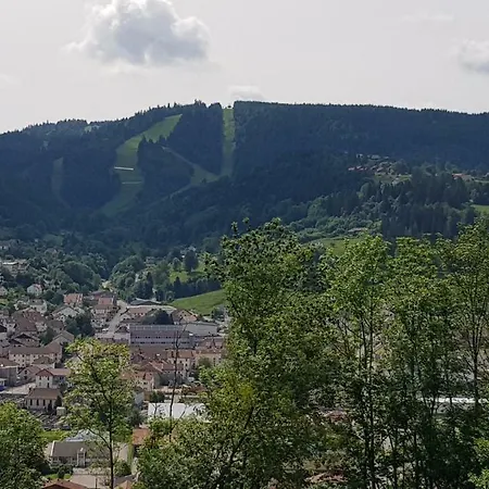 F2 Sur Les Hauteurs De Gérardmer