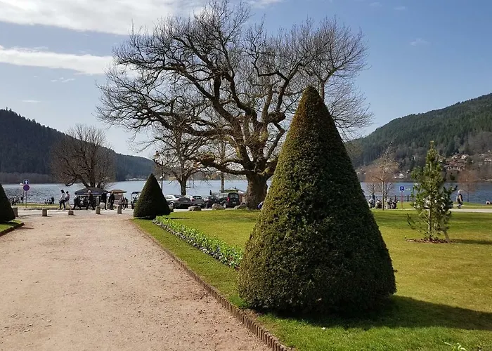 F2 Sur Les Hauteurs De Appartement Gérardmer
